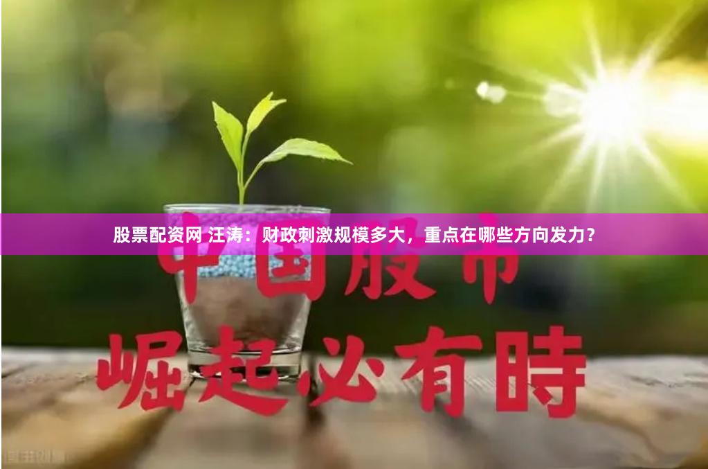 股票配资网 汪涛：财政刺激规模多大，重点在哪些方向发力？