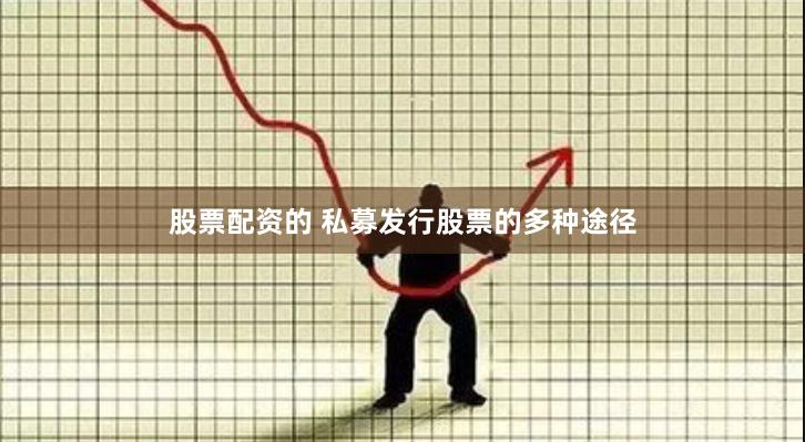 股票配资的 私募发行股票的多种途径