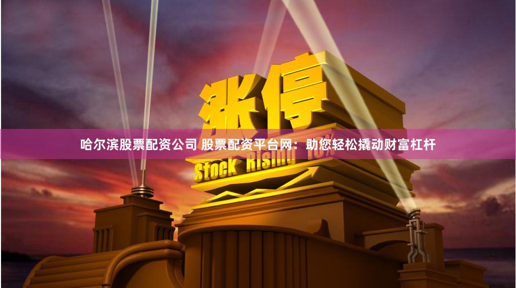 哈尔滨股票配资公司 股票配资平台网：助您轻松撬动财富杠杆